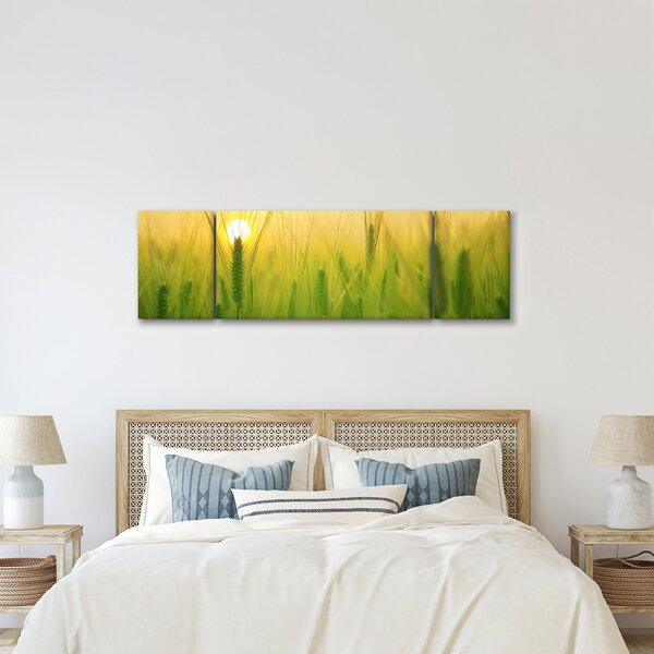Obraz pole s obilím (170x50 cm)