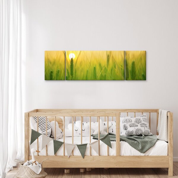 Obraz pole s obilím (170x50 cm)