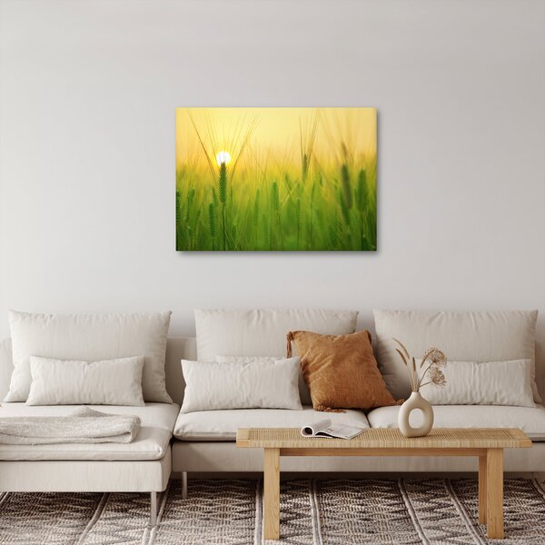 Obraz pole s obilím (70x50 cm)