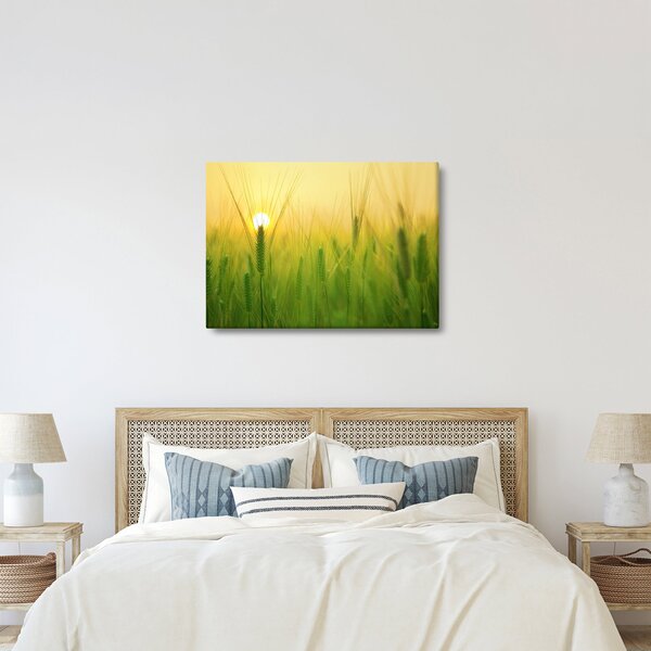 Obraz pole s obilím (70x50 cm)