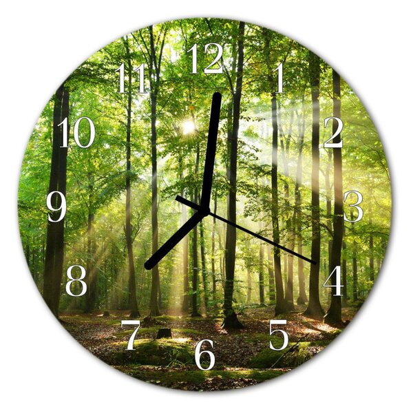 Nástenné skleněné hodiny Lesní příroda fi 30 cm