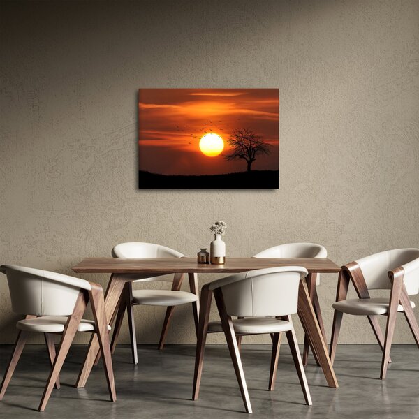 Obraz - Západ slunce (70x50 cm)