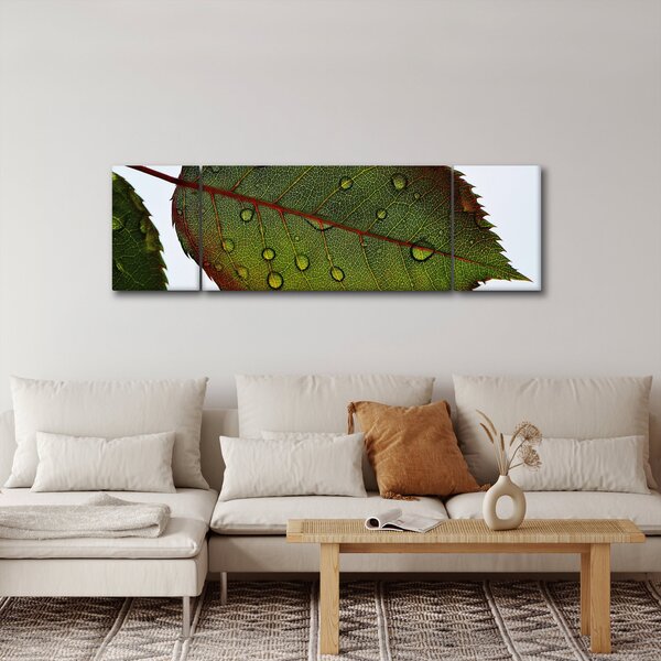 Obraz - List růže (170x50 cm)