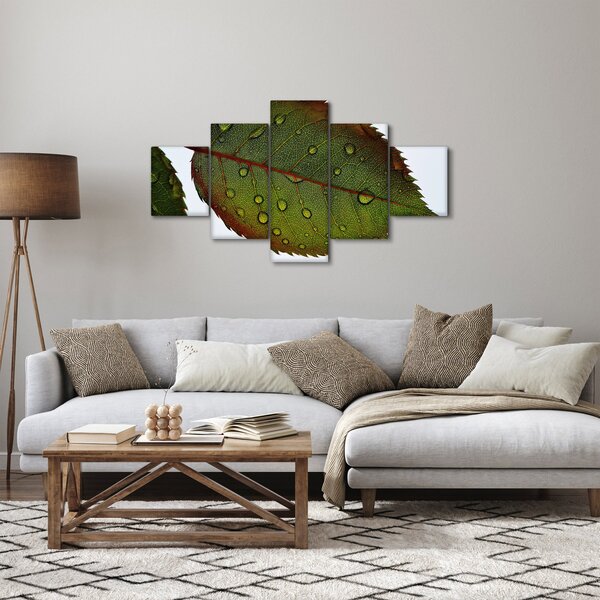 Obraz - List růže (125x70 cm)