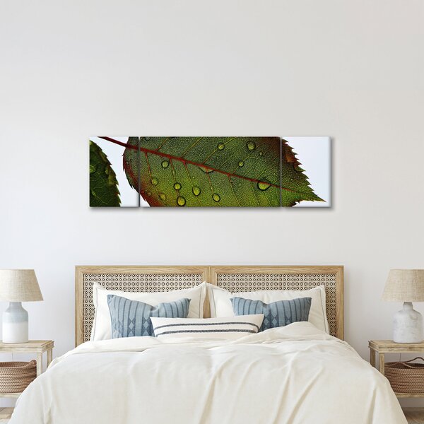Obraz - List růže (170x50 cm)