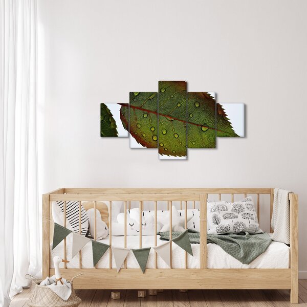Obraz - List růže (125x70 cm)