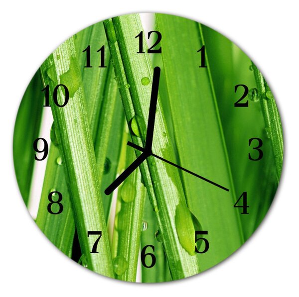 Nástenné skleněné hodiny Rosa na trávě fi 30 cm