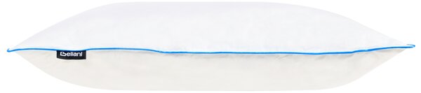 Polštář ANETO Nízká Kachní peří a chmýří 40 x 80 cm Bílá