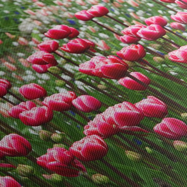 Obraz tulipánů (210x100 cm)
