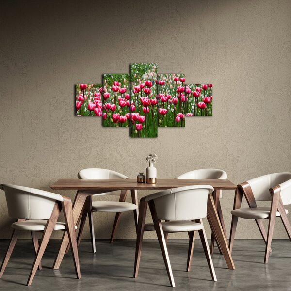 Obraz tulipánů (125x70 cm)