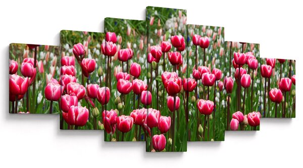 Obraz tulipánů (210x100 cm)
