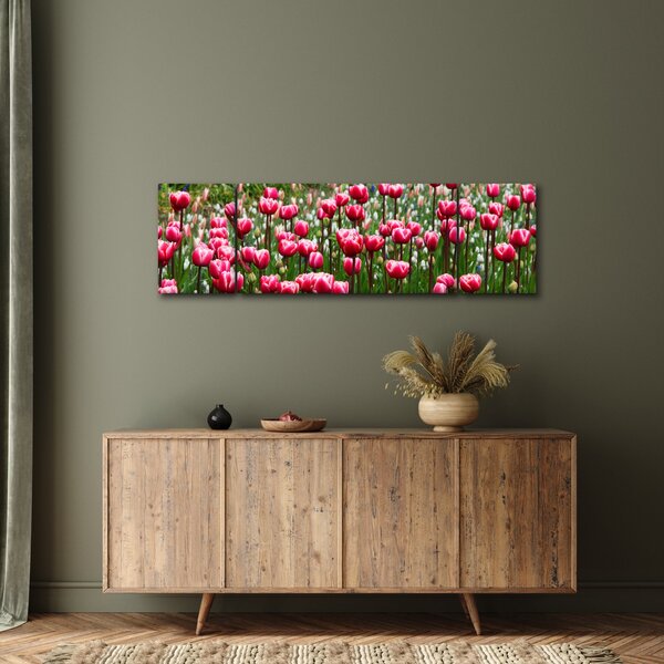 Obraz tulipánů (170x50 cm)
