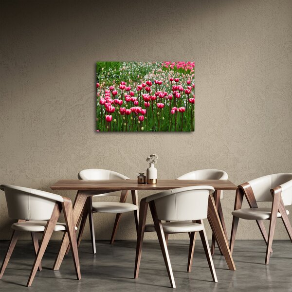 Obraz tulipánů (70x50 cm)