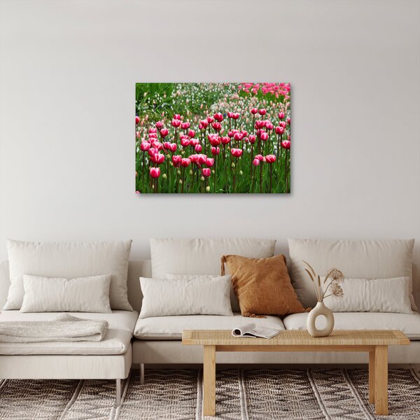 Obraz tulipánů (70x50 cm)