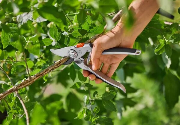 Premium BP 50 Zahradní nůžky GARDENA 8702-20