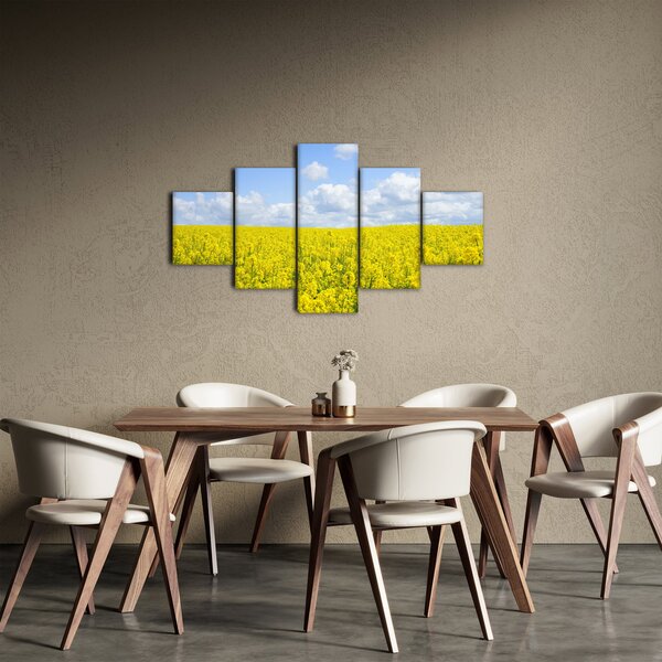 Obraz žlutého pole (125x70 cm)