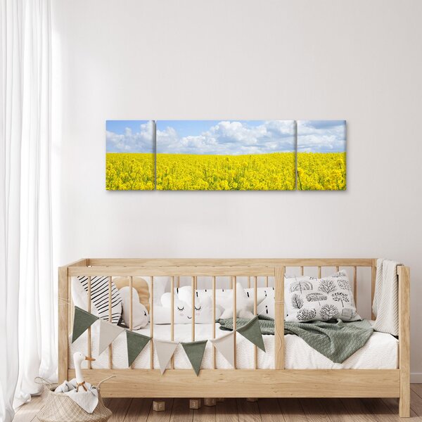 Obraz žlutého pole (170x50 cm)