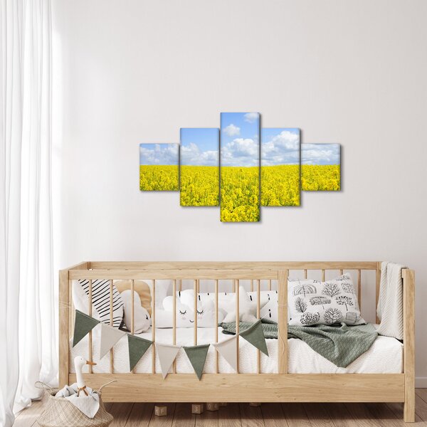 Obraz žlutého pole (125x70 cm)