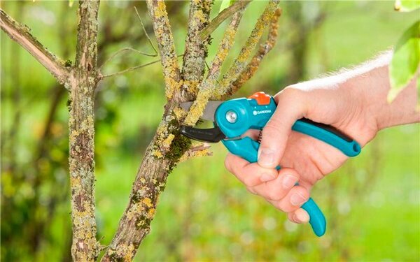 Gardena zahradní nůžky A/S classic 8855-20