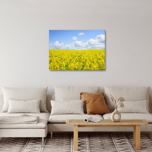 Obraz žlutého pole (70x50 cm)