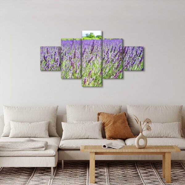 Obraz pole s levandulemi (125x70 cm)