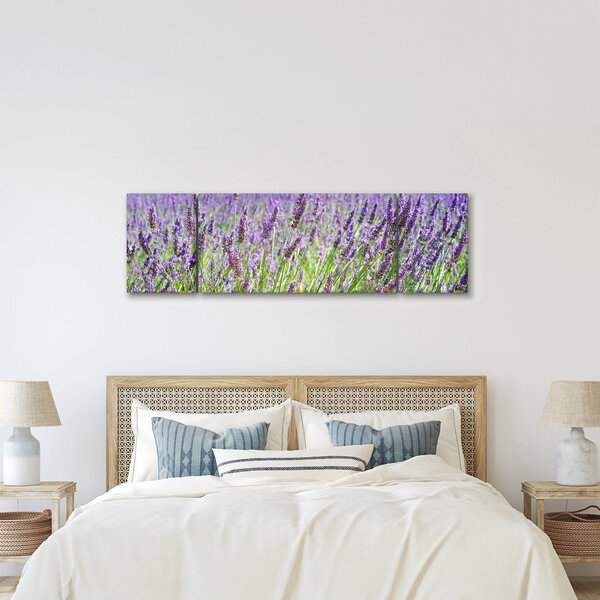 Obraz pole s levandulemi (170x50 cm)