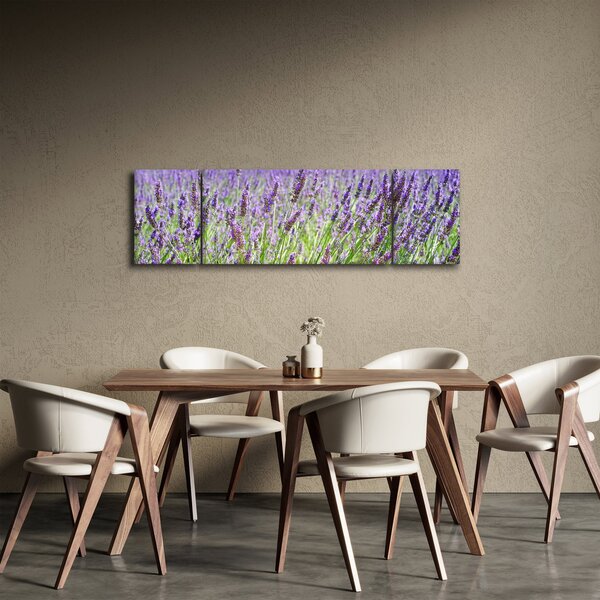 Obraz pole s levandulemi (170x50 cm)