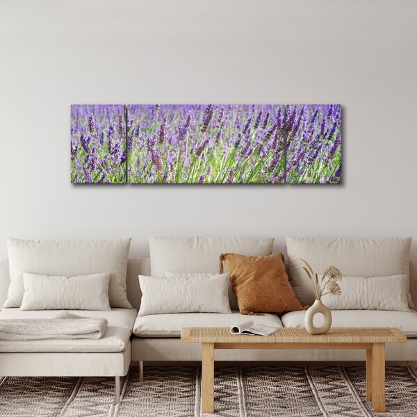 Obraz pole s levandulemi (170x50 cm)