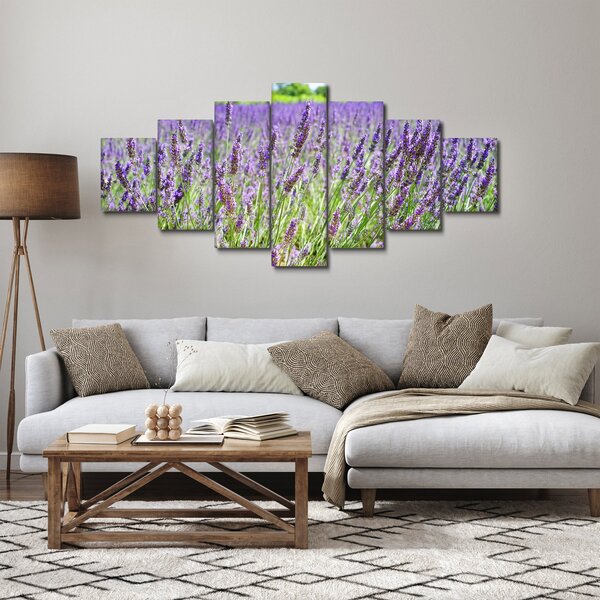 Obraz pole s levandulemi (210x100 cm)