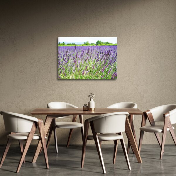 Obraz pole s levandulemi (70x50 cm)