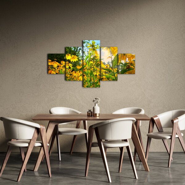 Obraz žlutých květin (125x70 cm)