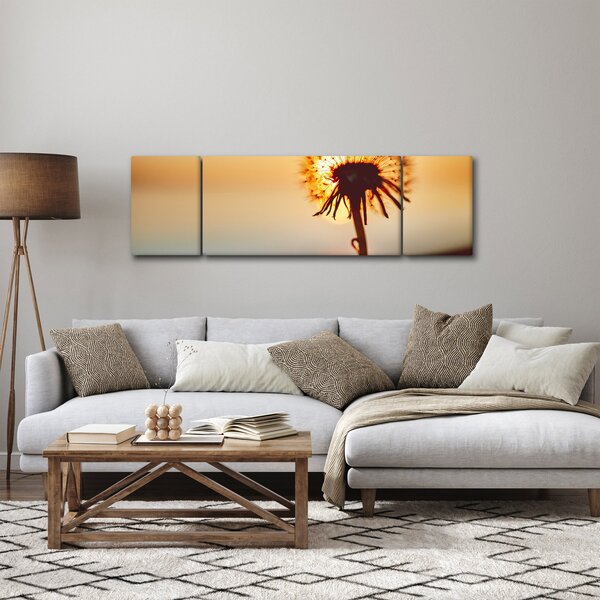 Obraz Pampelišky v západu slunce (170x50 cm)