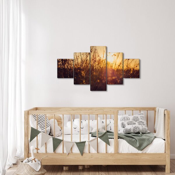 Obraz pole při západu slunce (125x70 cm)
