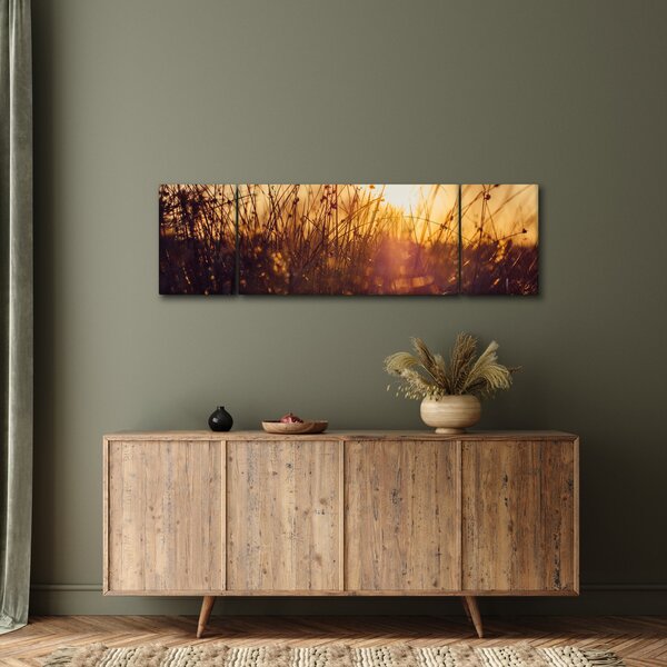 Obraz pole při západu slunce (170x50 cm)