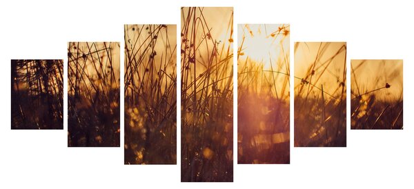 Obraz pole při západu slunce (210x100 cm)