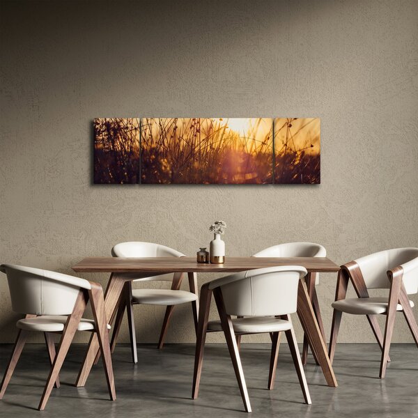 Obraz pole při západu slunce (170x50 cm)