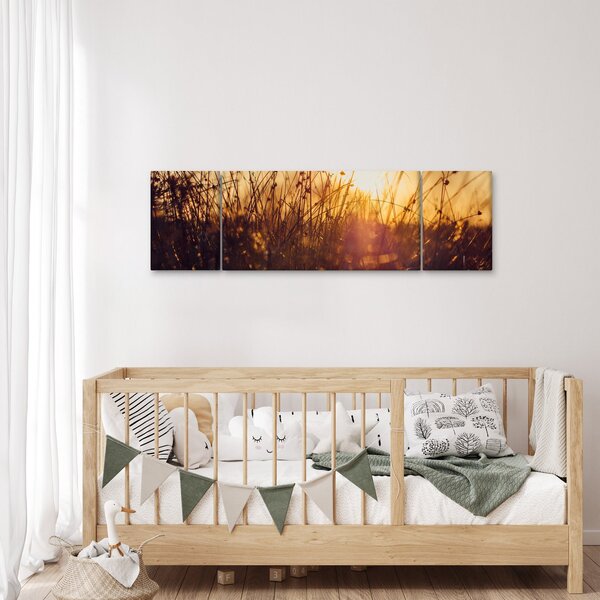 Obraz pole při západu slunce (170x50 cm)