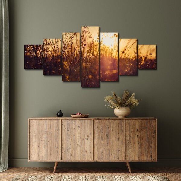 Obraz pole při západu slunce (210x100 cm)