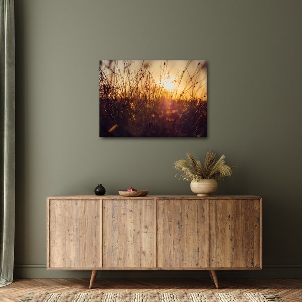 Obraz pole při západu slunce (70x50 cm)