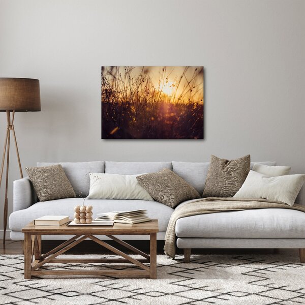 Obraz pole při západu slunce (70x50 cm)