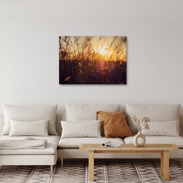 Obraz pole při západu slunce (70x50 cm)