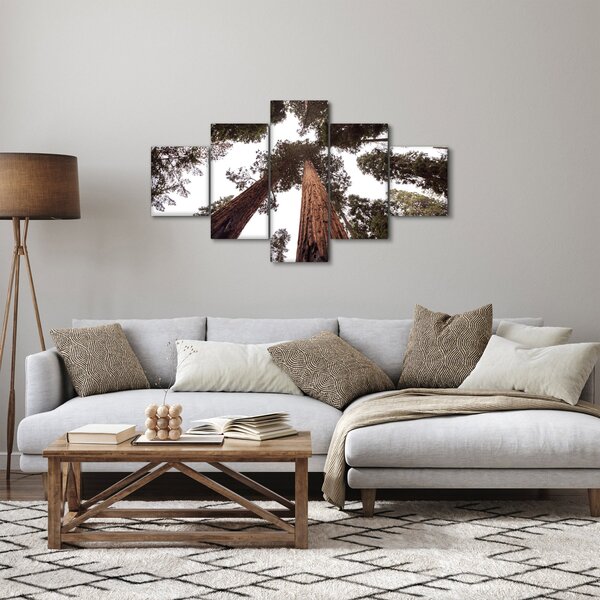 Obraz - Pohled skrz koruny stromů (125x70 cm)
