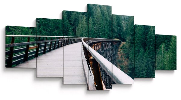 Obraz - Most k vrcholkům stromů (210x100 cm)