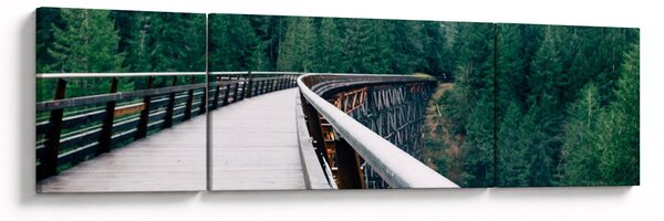 Obraz - Most k vrcholkům stromů (170x50 cm)