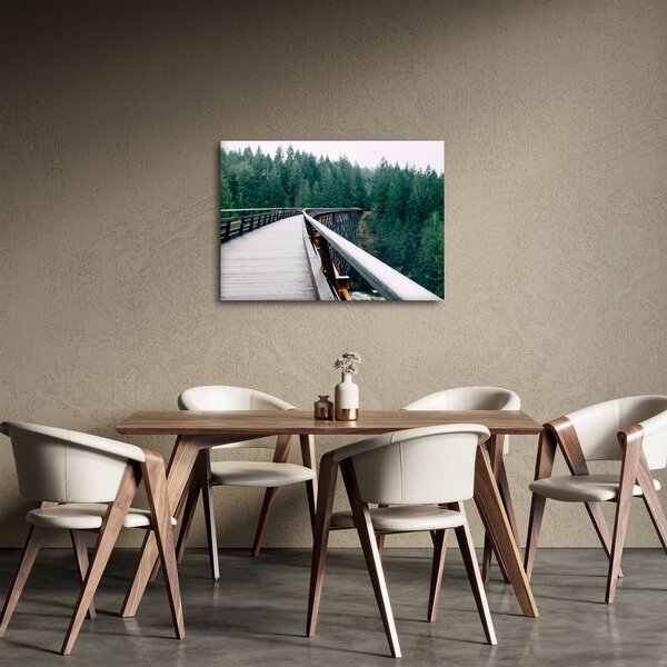Obraz - Most k vrcholkům stromů (70x50 cm)