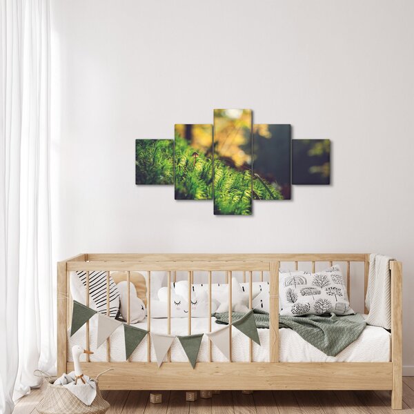 Obraz mechu s houbou (125x70 cm)