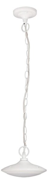 Rabalux 8710 - LED Venkovní závěsné svítidlo OAKLAND 1xLED/6W IP54