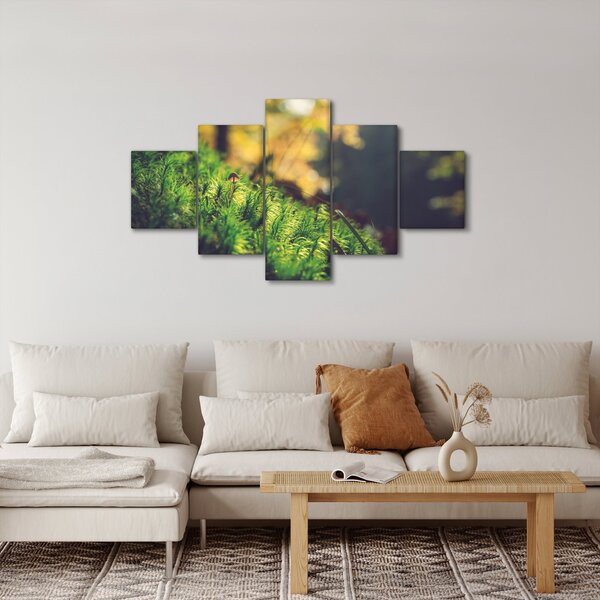 Obraz mechu s houbou (125x70 cm)