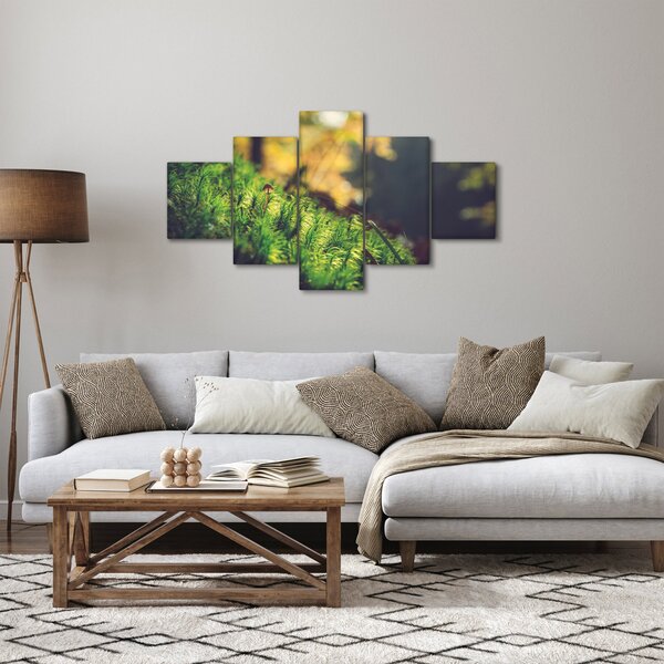 Obraz mechu s houbou (125x70 cm)