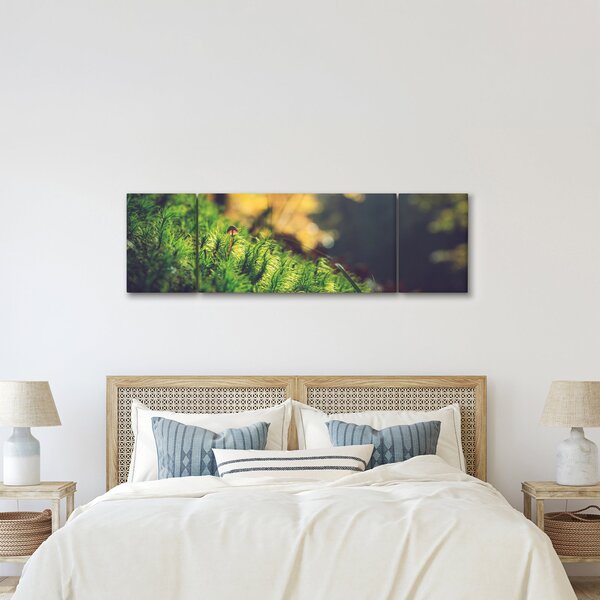Obraz mechu s houbou (170x50 cm)
